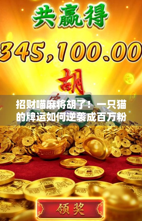 招财喵麻将胡了！一只猫的牌运如何逆袭成百万粉丝？